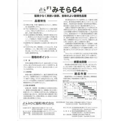 画像3: [トマト]　大玉トマト　　みそら64　1100粒　ヴィルモランみかど