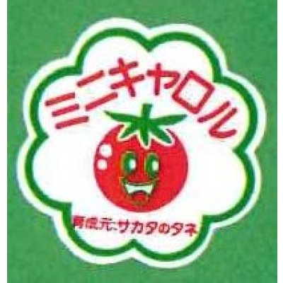 画像1: 青果シール　ミニトマト　ミニキャロル　１００枚入り　サカタのタネ