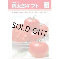送料無料　[トマト/桃太郎系]　桃太郎ギフト　1000粒　貴種(コートしてません)　タキイ種苗(株)