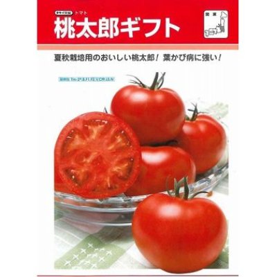 画像2: [トマト/桃太郎系]　桃太郎ギフト　50粒 貴種（コートしてません）　タキイ種苗（株）