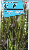 送料無料　花の種　むぎ　笹の雪　8ml　タキイ種苗(株)NL150