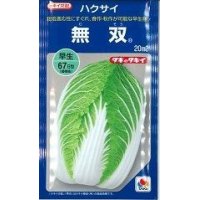 [白菜]　無双　20ｍｌ　タキイ種苗（株）