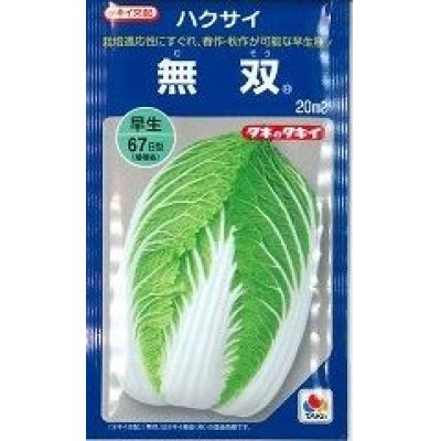 画像1: [白菜]　無双　20ｍｌ　タキイ種苗（株）