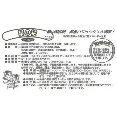画像4: [景観形成作物] 菜の花 500g カネコ種苗（株）