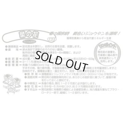 画像4: [景観形成作物]　菜の花　500g　カネコ種苗（株）