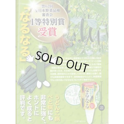 画像3: 送料無料　[キュウリ]　なるなる　18粒　ナント種苗(株)