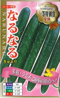 [キュウリ]　なるなる　18粒　ナント種苗（株）