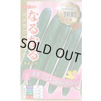 送料無料　[キュウリ]　なるなる　18粒　ナント種苗(株)