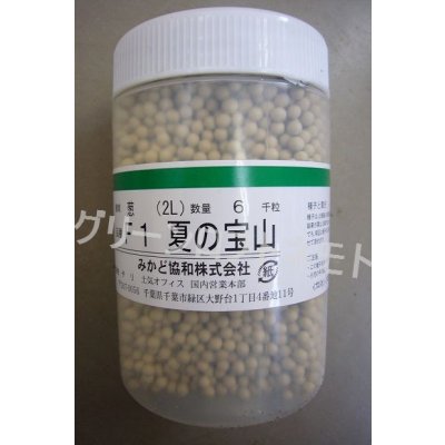 画像1: [ねぎ]　夏の宝山　6000粒　(2L)　ヴィルモランみかど