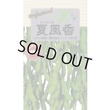 送料無料　[枝豆]　夏風香　70ml(およそ150粒)　雪印種苗(株)