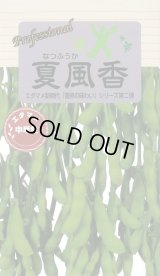 送料無料　[枝豆]　夏風香　70ml(およそ150粒)　雪印種苗(株)