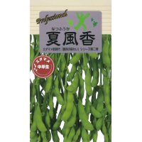 [枝豆]　夏風香　70ml（およそ140粒）　雪印種苗