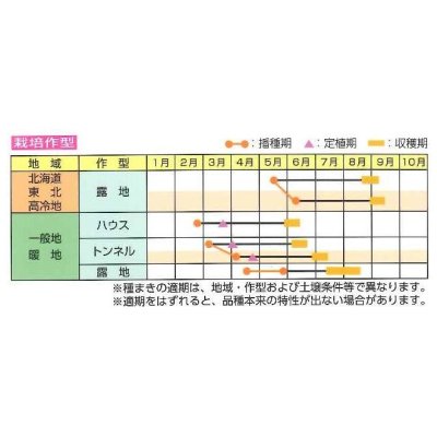 画像3: [枝豆]　夏風香　70ml（およそ150粒）　雪印種苗（株）