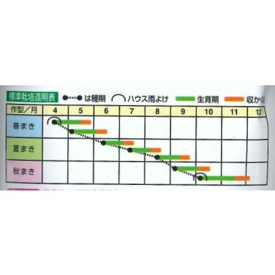 画像2: 送料無料　小松菜　なつき　2dl　(株)トーホク