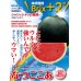 画像2: [スイカ]　小玉スイカ　なつここあ　200粒　ナント種苗（株） (2)