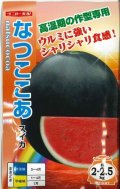 送料無料　[スイカ]　小玉スイカ　なつここあ　7粒　ナント種苗(株)