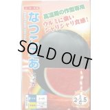 送料無料　[スイカ]　小玉スイカ　なつここあ　7粒　ナント種苗(株)