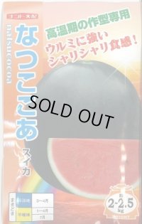 [スイカ]　なつここあ　7粒　ナント交配