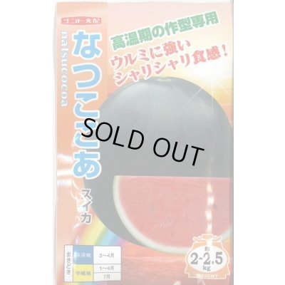 画像1: 送料無料　[スイカ]　小玉スイカ　なつここあ　200粒　ナント種苗(株)