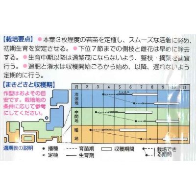 画像2: [キュウリ]　夏すずみ　15粒　タキイ種苗（株）　DF　