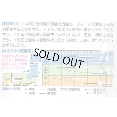画像2: 送料無料　[キュウリ]　夏すずみ　15粒　タキイ種苗(株)　DF