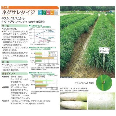 画像2: [緑肥]　アウェナ　ストリゴサ　ネグサレタイジ 1kg　タキイ種苗（株）