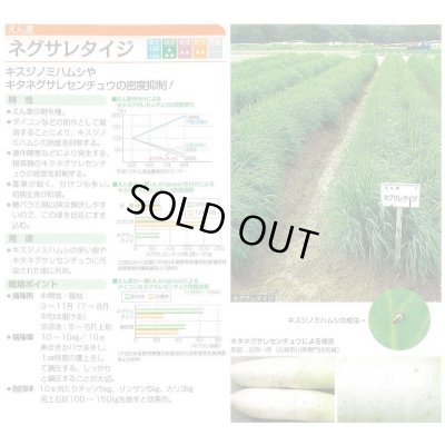 画像2: [緑肥] アウェナ ストリゴサ ネグサレタイジ 1kg タキイ種苗(株)