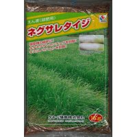 [緑肥]　アウェナ　ストリゴサ　ネグサレタイジ 1kg　タキイ種苗（株）