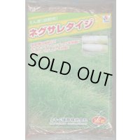 [緑肥] アウェナ ストリゴサ ネグサレタイジ 1kg タキイ種苗(株)