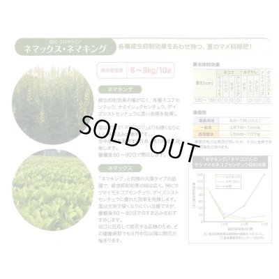 画像4: [緑肥]　クロタラリア　ネマックス　1kg　雪印種苗(株)