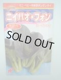 送料無料　[中国野菜]　チンゲンサイ　ニイハオ・フォン(赤チンゲンサイ)650粒　渡辺農事（株）