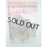 送料無料　[中国野菜]　チンゲンサイ　ニイハオ・フォン(赤チンゲンサイ)650粒　渡辺農事