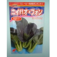 [中国野菜]　送料無料！　チンゲンサイ　ニイハオ・フォン（赤チンゲンサイ）　5万粒　渡辺農事（株）