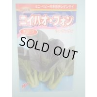 送料無料　[中国野菜]　チンゲンサイ　ニイハオ・フォン(赤チンゲンサイ)650粒　渡辺農事