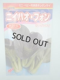 送料無料　[中国野菜]　チンゲンサイ　ニイハオ・フォン(赤チンゲンサイ)650粒　渡辺農事（株）
