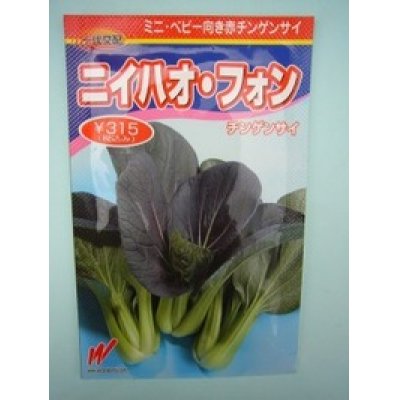 画像1: [中国野菜]　チンゲンサイ　ニイハオ・フォン（赤チンゲンサイ）650粒　渡辺農事