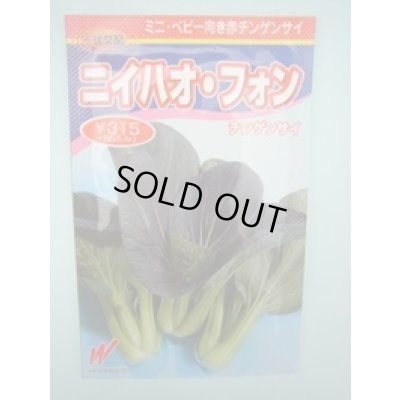 画像1: 送料無料　[中国野菜]　チンゲンサイ　ニイハオ・フォン(赤チンゲンサイ)　5万粒　渡辺農事(株)