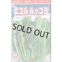 送料無料　二コル　ルッコラ　1dl　渡辺農事（株）