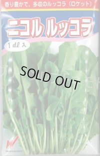 送料無料　二コル　ルッコラ　1dl　渡辺農事（株）