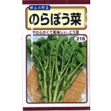 送料無料　のらぼう菜　10ml　(およそ2,880粒)(株)　トーホク