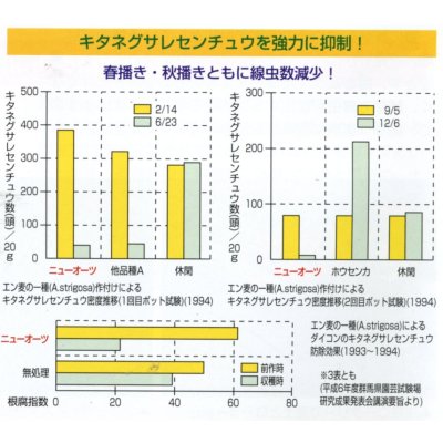 画像4: [緑肥]　ニューオーツ(アウェナストリゴサ)　1kg　カネコ種苗(株)