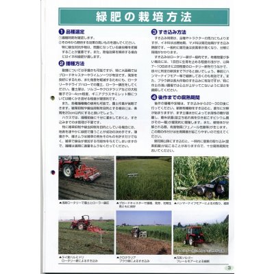 画像5: [緑肥]　ニューオーツ(アウェナストリゴサ)　1kg　カネコ種苗(株)