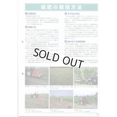 画像5: [緑肥]　ニューオーツ(アウェナストリゴサ)　1kg　カネコ種苗(株)