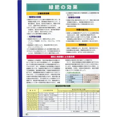 画像6: [緑肥]　ニューオーツ(アウェナストリゴサ)　1kg　カネコ種苗(株)