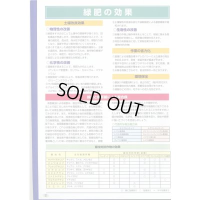 画像6: [緑肥]　ニューオーツ(アウェナストリゴサ)　1kg　カネコ種苗(株)