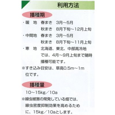 画像3: [緑肥]　ニューオーツ(アウェナストリゴサ)　1kg　カネコ種苗(株)