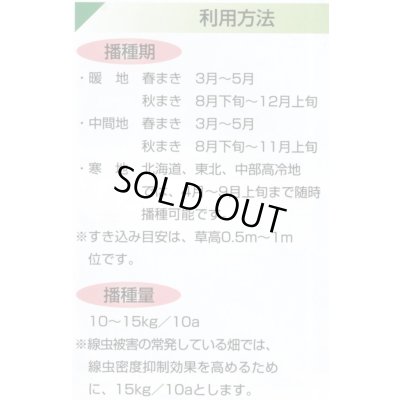 画像3: [緑肥]　ニューオーツ(アウェナストリゴサ)　1kg　カネコ種苗(株)