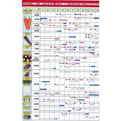画像9: [緑肥]　ニューオーツ(アウェナストリゴサ)　1kg　カネコ種苗(株)