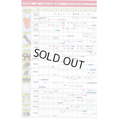 画像9: [緑肥]　ニューオーツ(アウェナストリゴサ)　1kg　カネコ種苗(株)