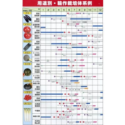 画像8: [緑肥]　ニューオーツ(アウェナストリゴサ)　1kg　カネコ種苗(株)